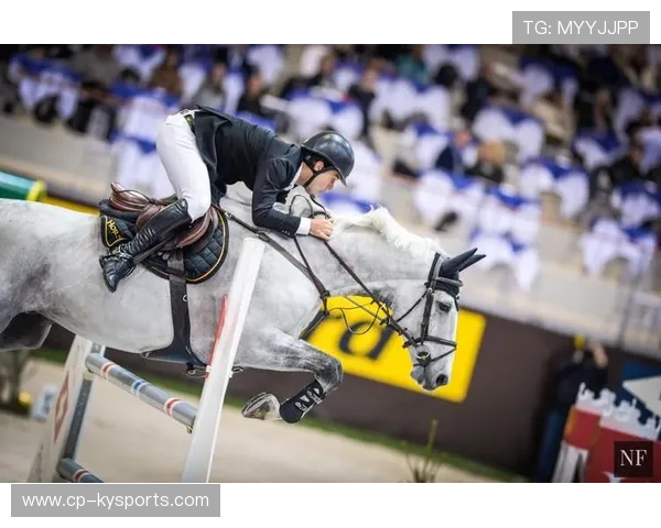 克罗地亚马术协会与国际马术联合会合作，举办国际马术交流活动，促进技术交流。